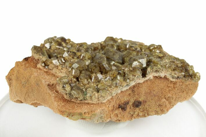 Yellow Andradite-Grossular Garnet Cluster with Clinochlore - Mali #245214